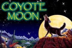 Coyote Moon